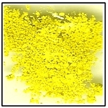 Genuine Mayan Yellow Pigment