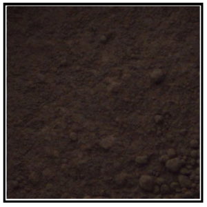 Iconography Supplies - Artists Pigment - Cassel Earth